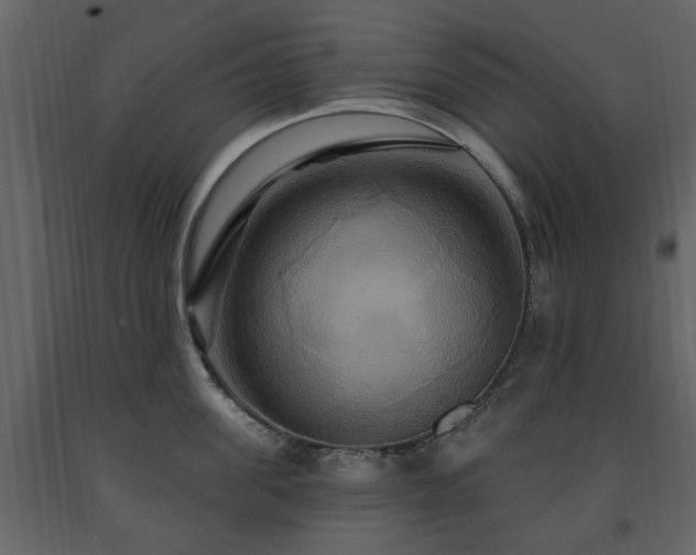 X0000091640955200708231155