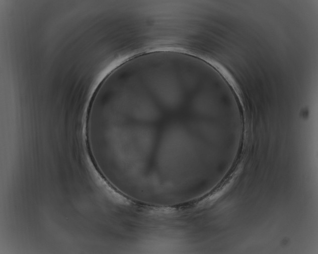 X0000091640957200708231155