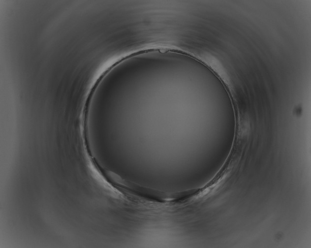X0000091640958200708231155