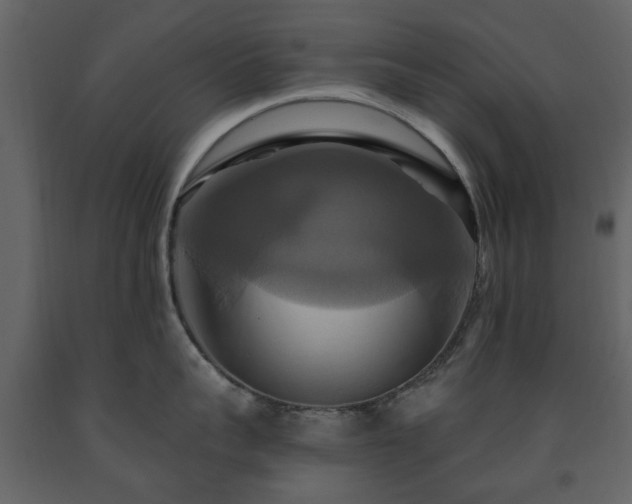 X0000091640959200708231155