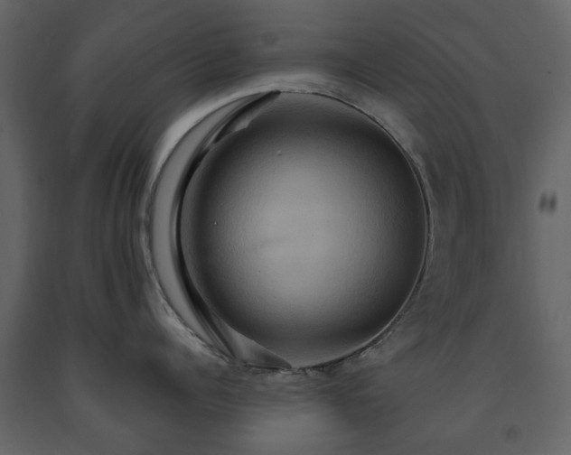 X0000091640960200708231155