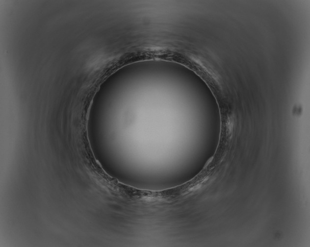 X0000091640961200708231155