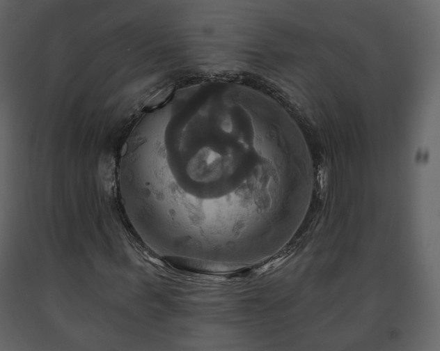 X0000091640963200708231155