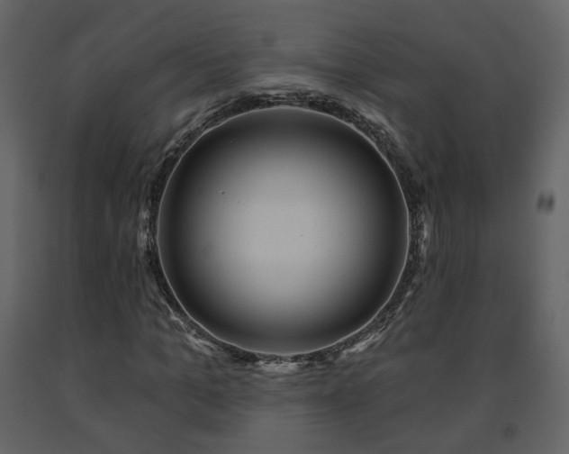 X0000091640965200708231155