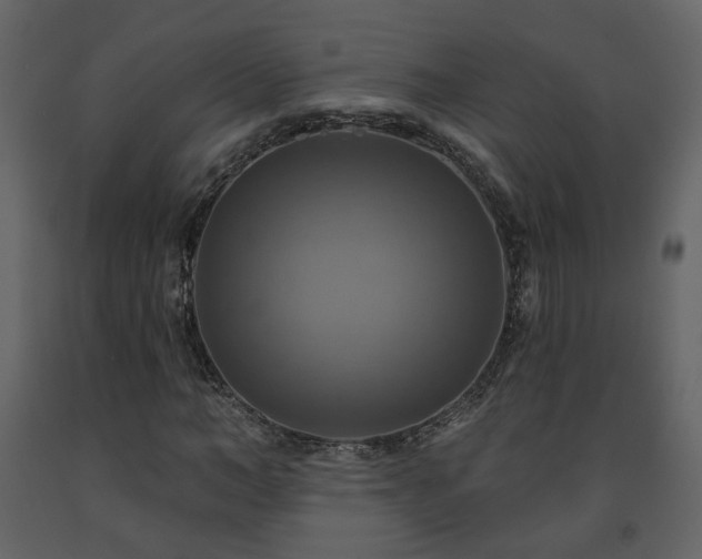 X0000091640966200708231155