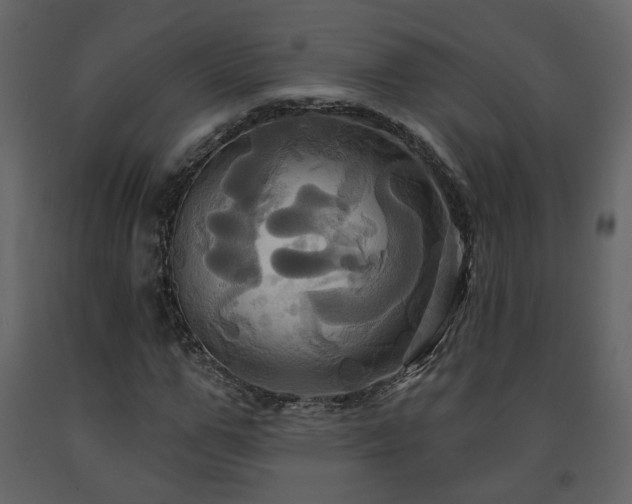 X0000091640967200708231155