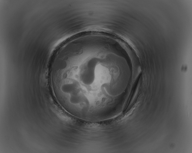 X0000091640971200708231155