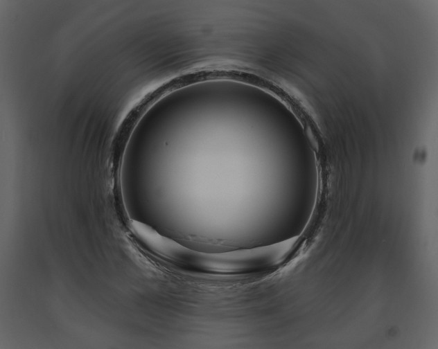 X0000091640973200708231155