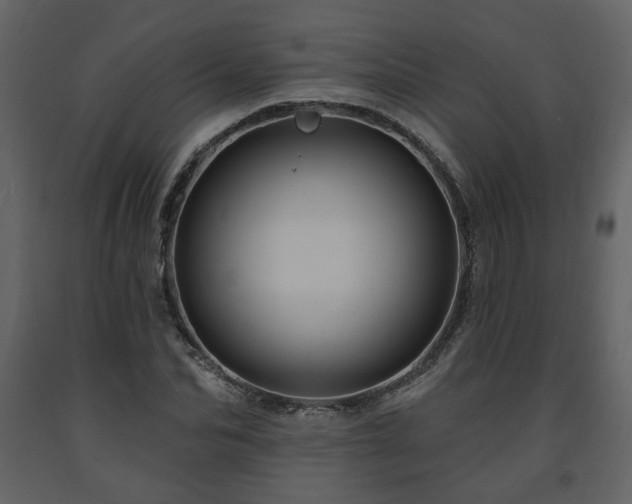 X0000091640974200708231155