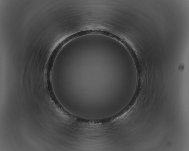X0000091640975200708231155