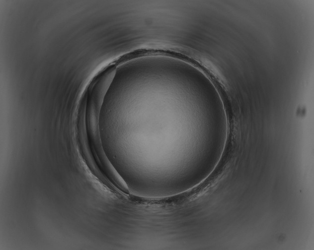 X0000091640976200708231155