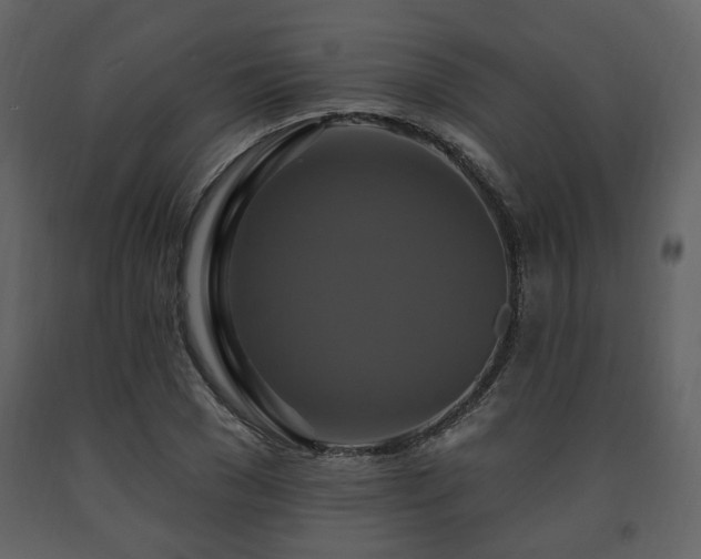 X0000091640977200708231155