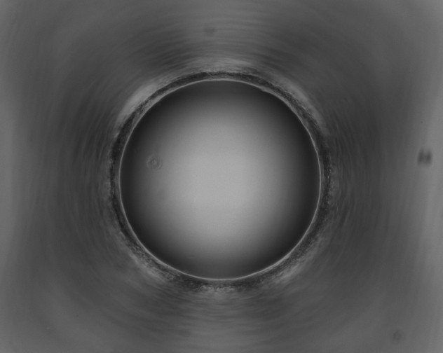 X0000091640978200708231155