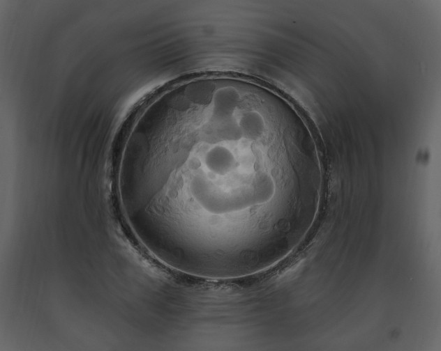 X0000091640979200708231155