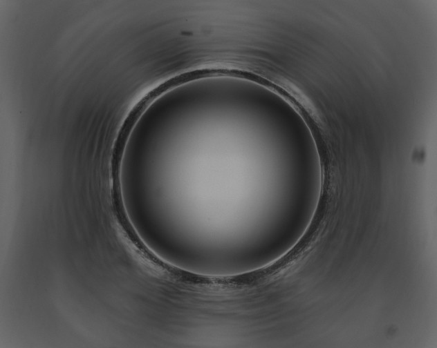 X0000091640980200708231155