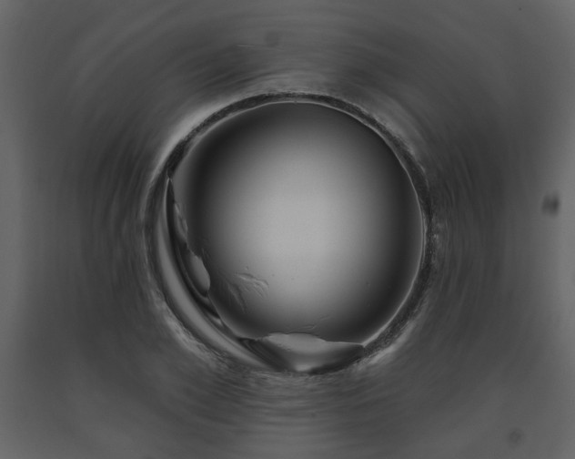X0000091640981200708231155