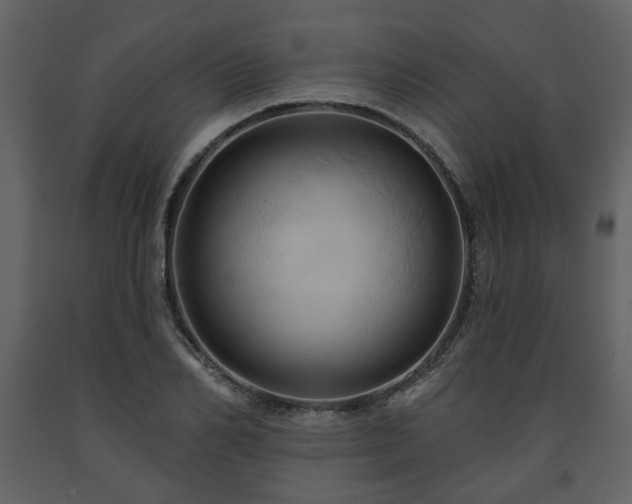 X0000091640982200708231155