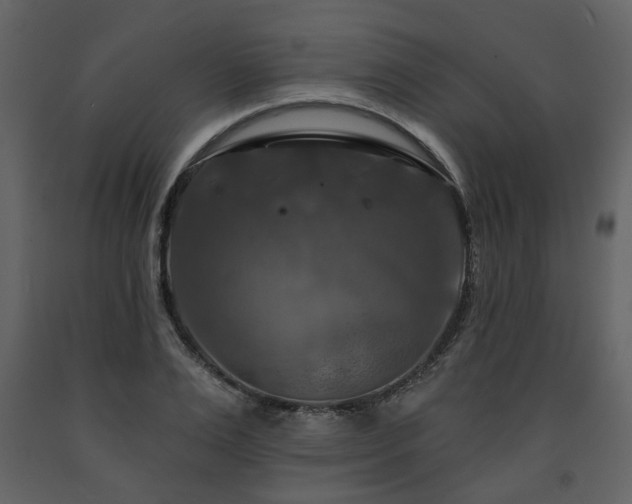 X0000091640983200708231155