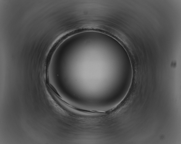 X0000091640984200708231154