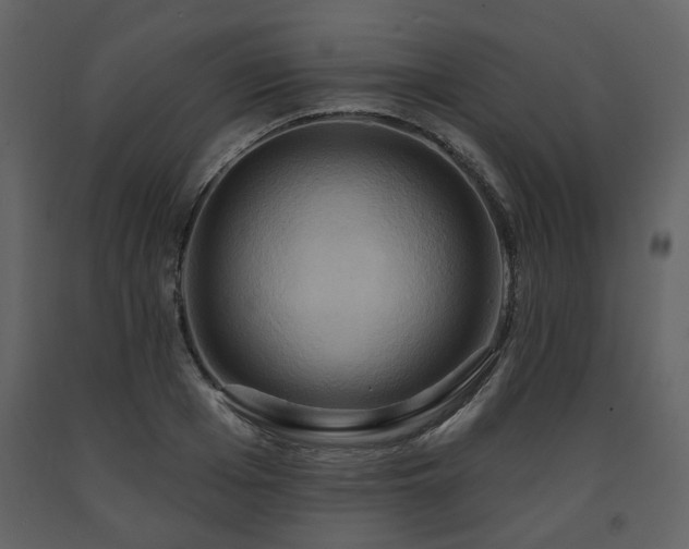 X0000091640985200708231154
