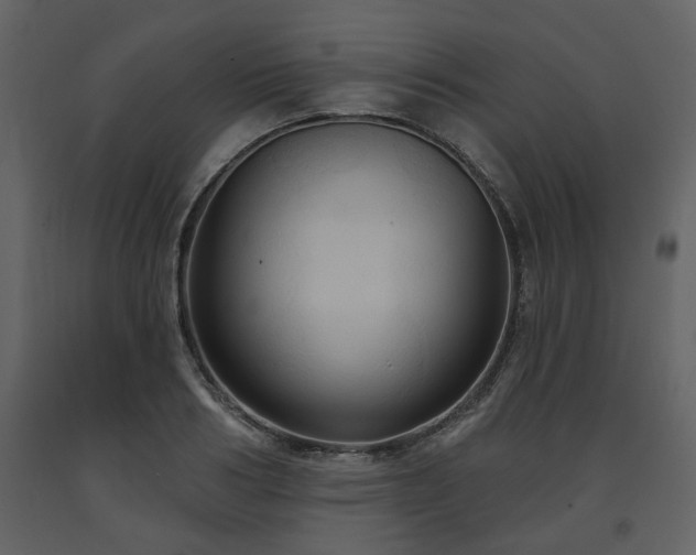 X0000091640986200708231154