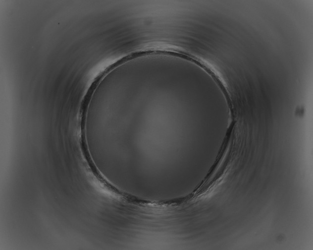 X0000091640987200708231154