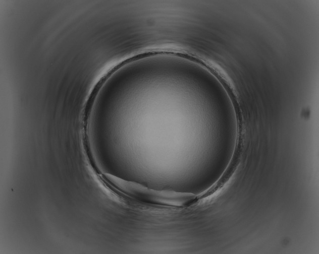 X0000091640989200708231154