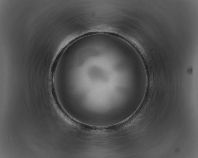X0000091640990200708231154