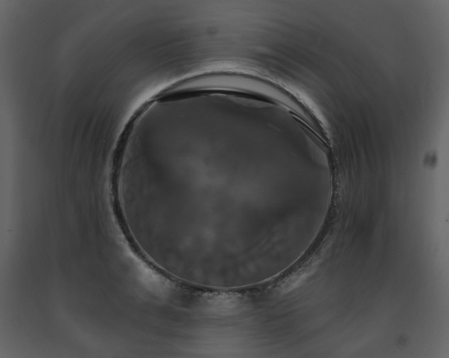 X0000091640991200708231154