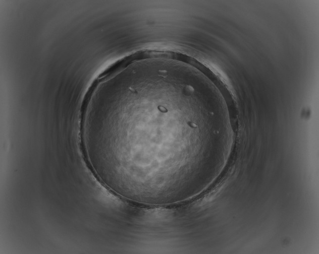 X0000091640992200708231154