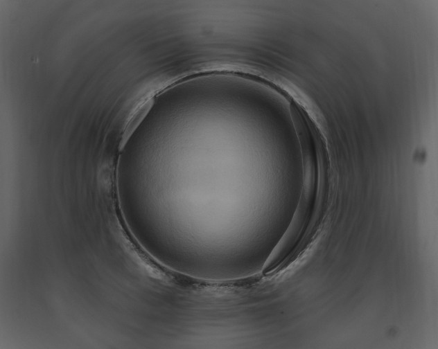 X0000091640993200708231154