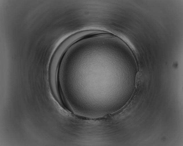 X0000091640996200708231154
