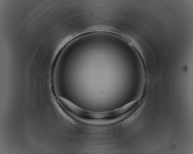 X0000091640997200708231154