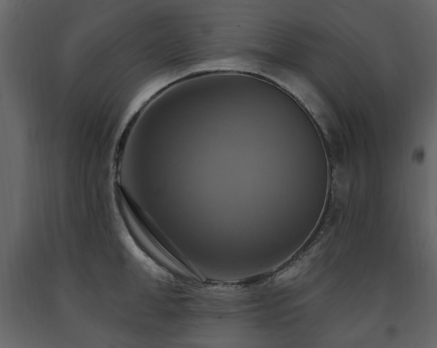 X0000091640998200708231154