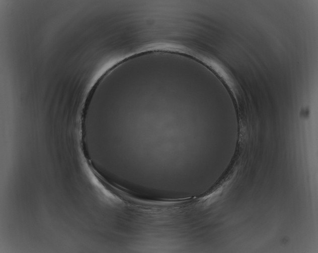 X0000091640999200708231154