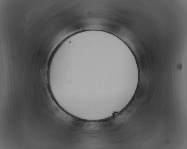 X0000091641000200708231154