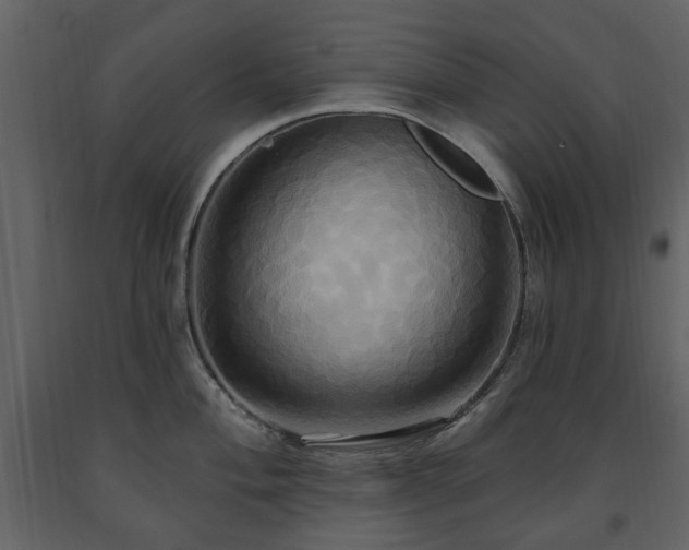 X0000091641004200708231154
