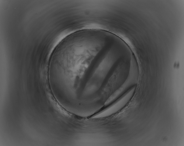 X0000091641008200708231154