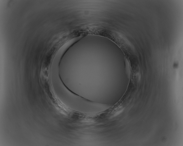 X0000091641010200708231153