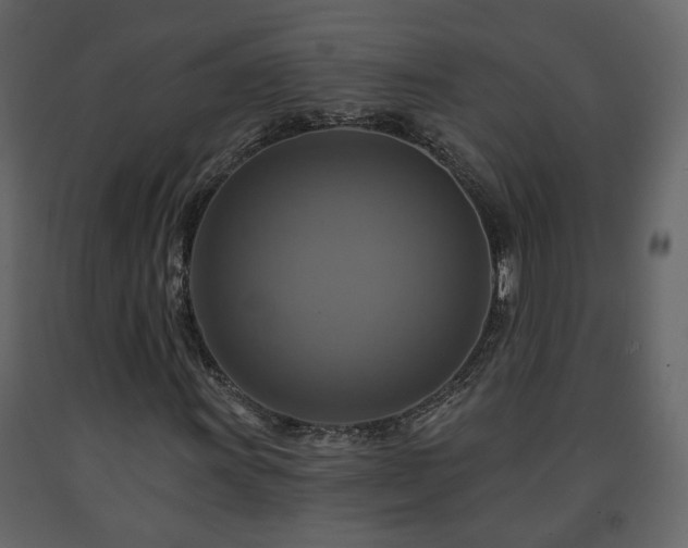 X0000091641011200708231153