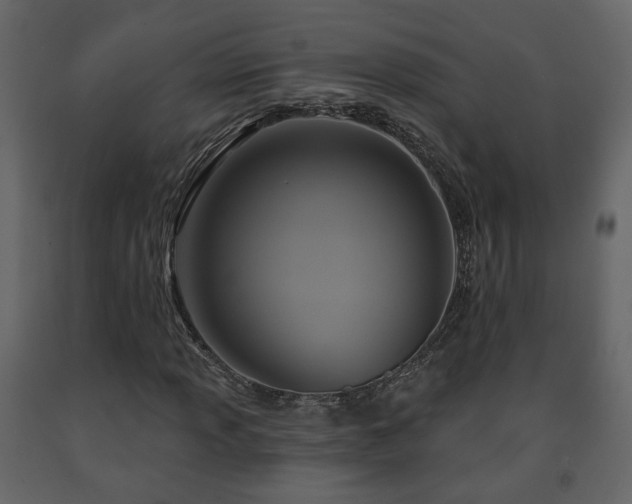 X0000091641013200708231153