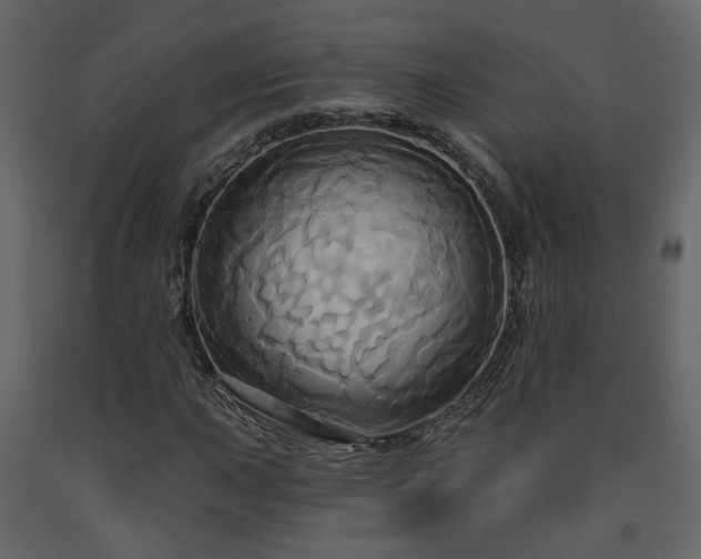 X0000091641015200708231153