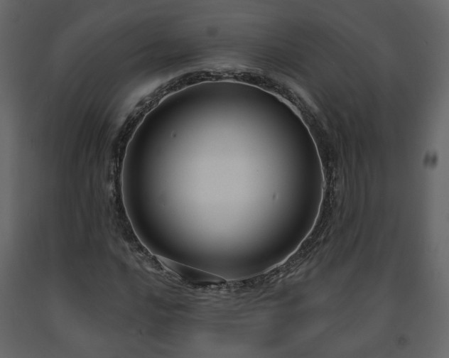 X0000091641016200708231153