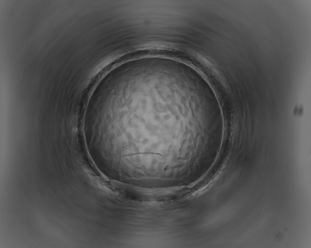 X0000091641017200708231153