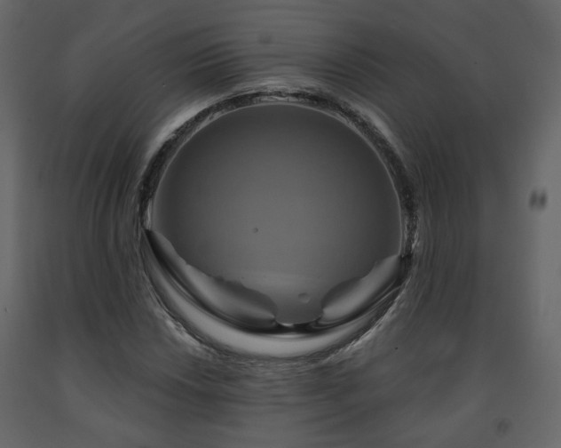 X0000091641018200708231153