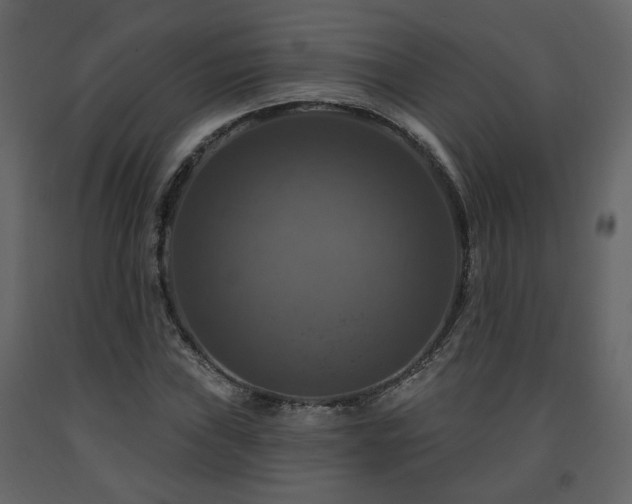 X0000091641019200708231153