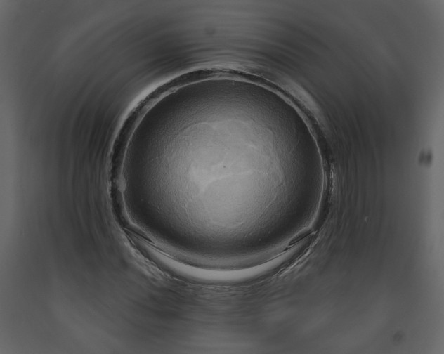 X0000091641020200708231153