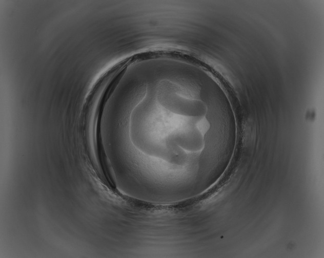 X0000091641021200708231153