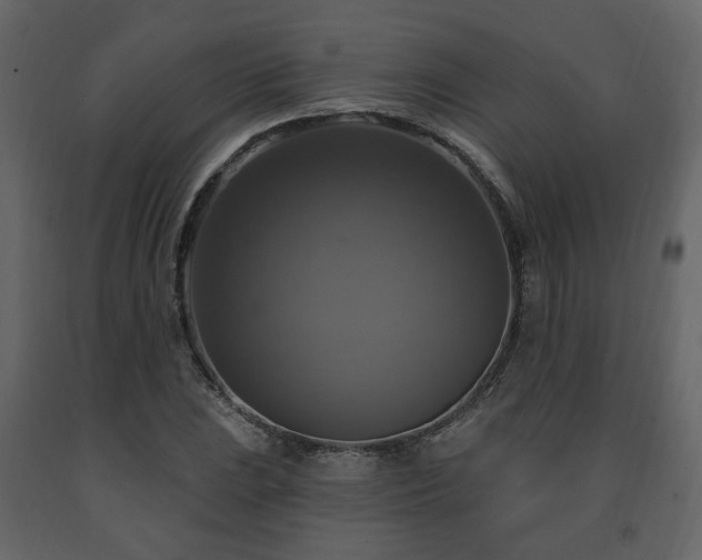 X0000091641023200708231154
