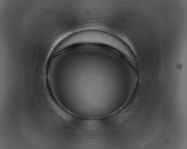 X0000091641024200708231154